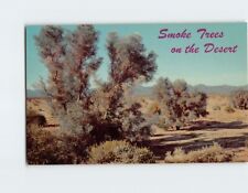 Postcard Smoke Trees on the Desert picture
