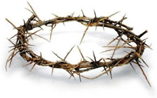 Passion of Christ Crown of Thorns/Authentic Crown of Thorns Comes in Gift Box picture