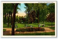 1948 View Of Riverview Park Flowers Ottumwa Hedrick Iowa IA Vintage Postcard picture