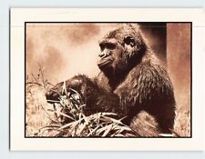 Postcard Gorilla by Scott Laperruque picture