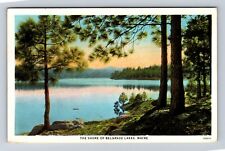 Belgrade Lakes ME-Maine, the Shore of Belgrade Lakes, Antique Vintage Postcard picture