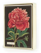 Cavallini & Co. Botanical Boxed Note Cards picture