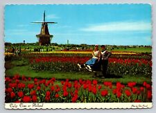 The Dutch At Tulip Time Holland Michigan Vintage Unposted Postcard picture