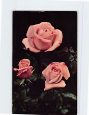 Postcard Beautiful Roses Greetings from Portland Oregon USA picture