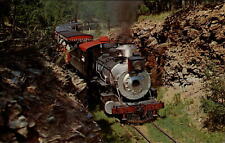Klondike Casey 1880 Train Hill City South Dakota ~ 1950-60s vintage postcard picture