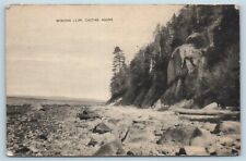 Postcard ME Castine Maine View of Winona Cliff c1940s View T16 picture