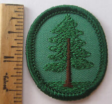 Retired Oval Girl Scout PINE TREE TROOP CREST Forest Badge Patch ID Nature NEW picture
