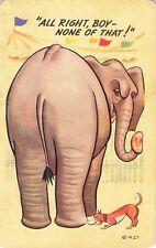 1954 Carnival Elephant and Dog All Right Boy None of That Postcard 5.5