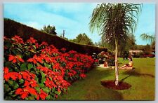 Weeki Wachee Florida FL Landscape Postcard UNP VTG Koppel Unused Vintage picture