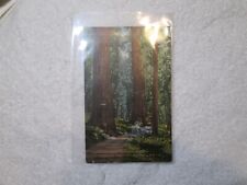 Antique Southern Pacific Railroad Edward Mitchell Forest Scene Postcard picture