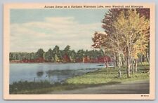 Postcard Autumn on Northern Wisconsin Lake near Woodruff & Minocqua Vintage picture