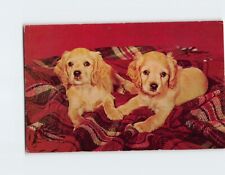 Postcard Two Cute Puppies picture