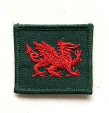 British Army Royal Welsh Regiment unit patch picture