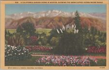 California Garden Scene In Winter Sierra Madre Mountains Postcard picture