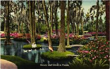 Vintage Postcard- MARSH, FL. picture