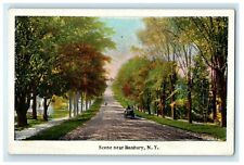 c1910's Dirt Road Horse Carriage Scene Near Roxbury New York NY Antique Postcard picture
