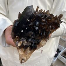 1150g Natural Smoky Black Quartz Crystal Cluster Raw Mineral Specimen picture