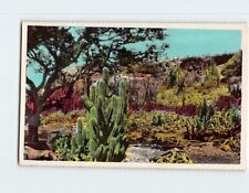 Postcard Country Scene Aruba picture