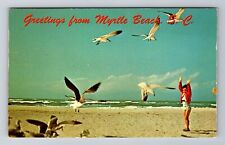 Myrtle Beach SC-South Carolina, General Greetings, Beach Scene, Vintage Postcard picture
