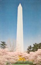 THE WASHINGTON MONUMENT, WITH CHERRY TREES IN BLOOM, POSTCARD -A0062 picture