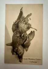 Postcard QUAIL, Monterey COUNTY, CA Antique Hung Bird FOWL Hunting SHOOTING  picture