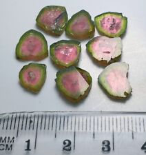 Polished tourmaline watermelon slices - 21 carats picture