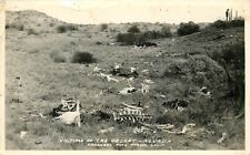 Victims Of The Desert, Skeletons, Frashers, Nevada Real Photo Postcard/RPPC picture