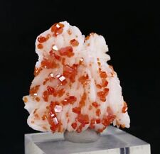 Red VANADINITE on BARITE- Mibladen, Morocco | 34 x 31 x 19 mm #rs picture