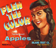 *Original* PLEN TEE COLOR Indian Maiden RED Wapato Wa Apple Label NOT A COPY picture