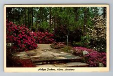 Many LA-Louisiana, Hodges Gardens Ledgestone Walks, Vintage Postcard picture