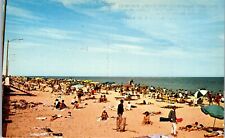 Vintage Beach Sunbathers View Postcard Greetings from Rehoboth Beach DE  picture
