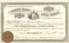 Somerset Ranch and Cattle Co. - Cattle, Horses & Meat Packing picture