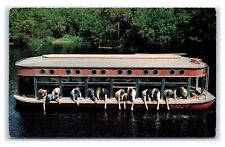 Postcard Florida's Silver Springs Glass Bottom Boats Hand Feeding Fish J22 picture