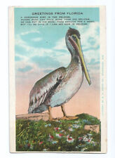 FL Postcard Florida Greetings Pelican Poem c1920s picture