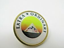 MFG Extra Ordinary Pin picture