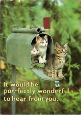 Postcard Kittens in Mailbox - purrfectly wonderful to hear from you picture