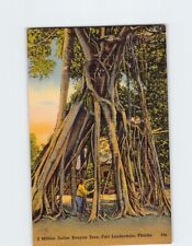 Postcard 2 Million Dollar Banyan Tree Fort Lauderdale Florida USA picture