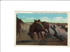 Vintage Postcard WESTERN RIDER FALLING FROM HORSE  POSTED LINEN picture