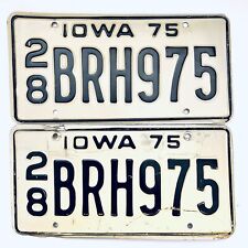 1975 United States Iowa Delaware County Passenger License Plate 28 BRH975 picture