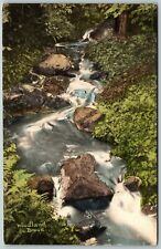Woodland Brook, Stream, Forest - Postcard picture