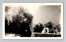 Charming 1920s Garden Scene Vintage Photograph 4 1/2x2 5/8 inches picture