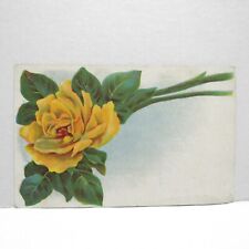 Postcard Vintage Postmarked 1911 Yellow Rose Flower Plant Nature Beauty  picture