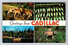 Cadillac MI-Michigan, Scenic Banner Greetings, Vintage Postcard picture