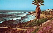 La Jolla CA California Torrey Pines Golf Course Sea Cliffs Vtg Postcard A18 picture