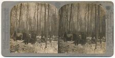MICHIGAN SV - Logging Scene in the Woods - CH Graves picture