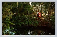 Homosassa Springs FL-Florida, Foot Bridge, Pond, Antique Vintage Postcard picture