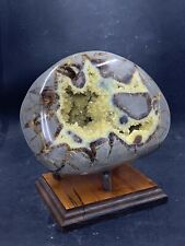 Septarian Nodule Hollow Half ( Utah)with Stand And Description Card picture