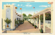 c1930s Elitch Gardens Amusement Park Promenade, Denver, Colorado Postcard picture