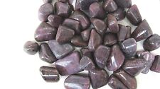 One Ruby Tumbled Stones 25-30mm Healing Crystal Lemuria Akashic Record Psychic picture