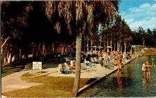 1974. WARM MINERAL SPRINGS. FLORIDA. POSTCARD ZT9 picture